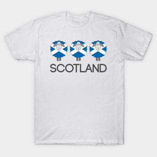 Trio of Scottish Saltire Flag Patterned Sheep T-Shirt